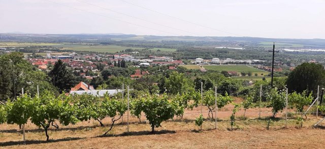 Eladó telek, Pécsett 2.5 M Ft / költözzbe.hu