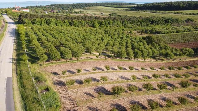 Eladó mezogazdasagi ingatlan, Zánkán 129 M Ft