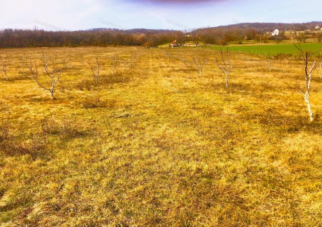 Eladó mezogazdasagi ingatlan, Balatonhenyén 27 M Ft