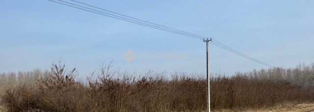 Eladó mezogazdasagi ingatlan, Nyírbogdányon 16.5 M Ft