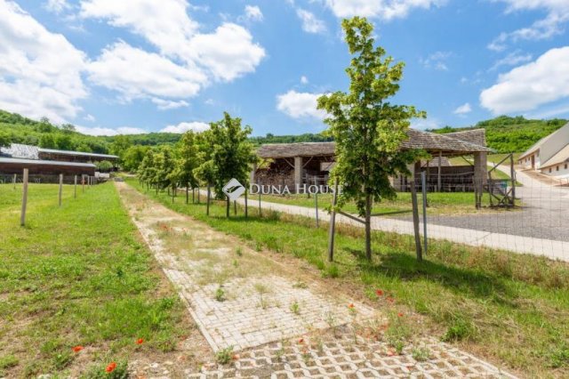 Eladó mezogazdasagi ingatlan, Szekszárdon 80 M Ft