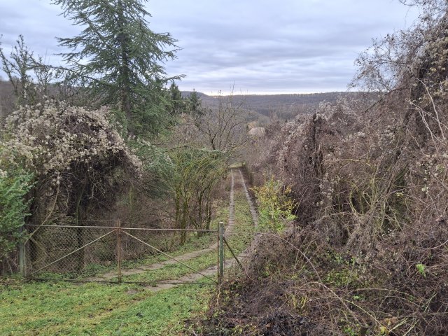 Eladó telek, Gyermelyen 7.9 M Ft / költözzbe.hu