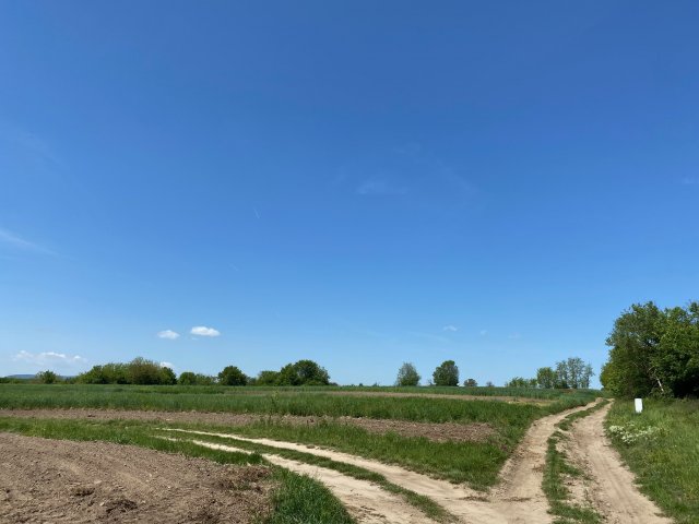 Eladó telek, Alcsútdobozon 59.9 M Ft / költözzbe.hu