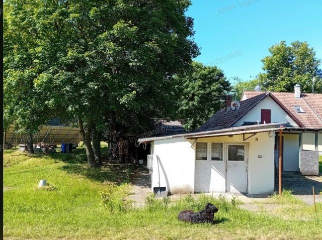 Kiadó családi ház, albérlet, Kecskeméten 100 E Ft / hó