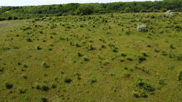 Eladó mezogazdasagi ingatlan, Isaszegen 11.9 M Ft