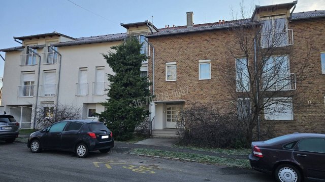 Kiadó téglalakás, albérlet, Pécsett 145 E Ft / hó, 1+1 szobás
