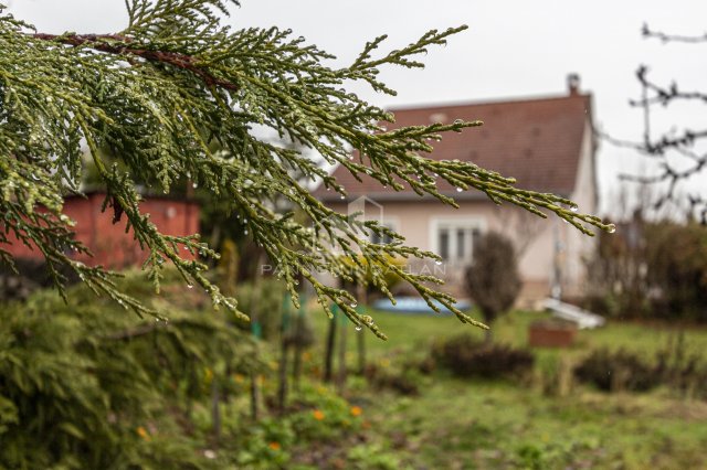 Eladó családi ház, Szentkirályszabadján 119.9 M Ft, 6 szobás