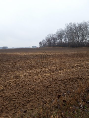 Eladó mezogazdasagi ingatlan, Üllőn 700 M Ft