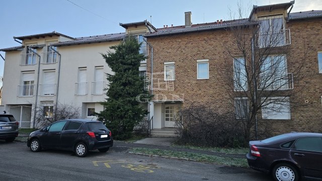 Kiadó téglalakás, albérlet, Pécsett 140 E Ft / hó, 1+1 szobás