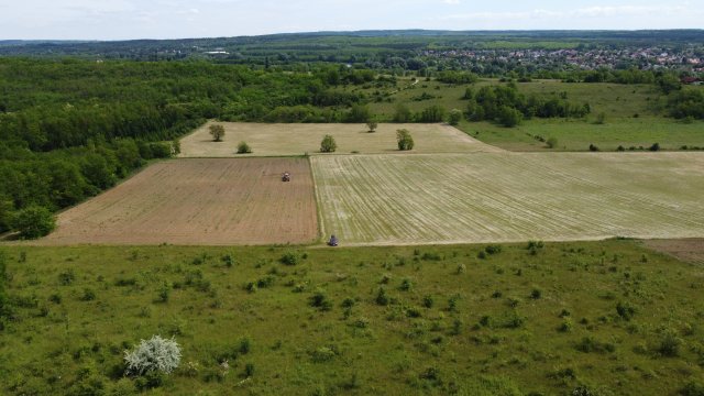 Eladó mezogazdasagi ingatlan, Isaszegen 11.9 M Ft
