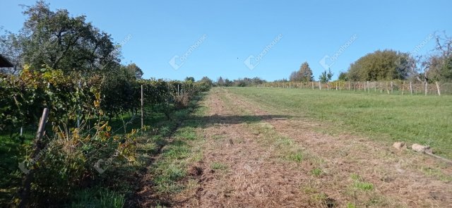 Eladó telek, Nagykutason 4.5 M Ft / költözzbe.hu