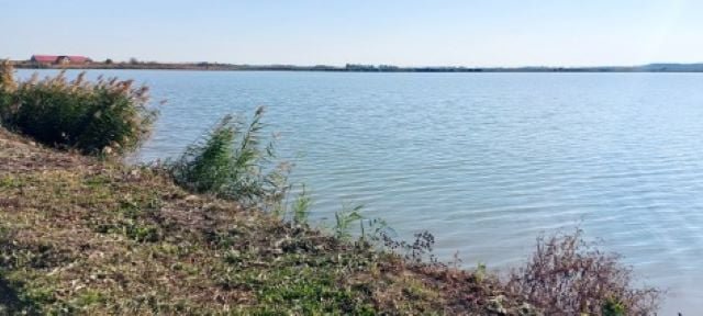 Eladó mezogazdasagi ingatlan, Gyulán 300 M Ft