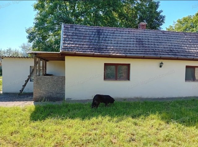 Kiadó családi ház, albérlet, Kecskeméten 100 E Ft / hó