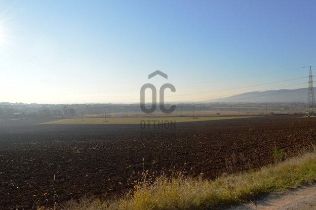 Eladó mezogazdasagi ingatlan, Vácon 296 M Ft
