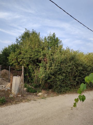 Eladó telek, Bicskén 3.9 M Ft / költözzbe.hu