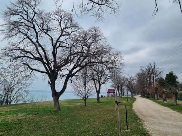 Eladó családi ház, Balatonakarattyán 139 M Ft, 3 szobás