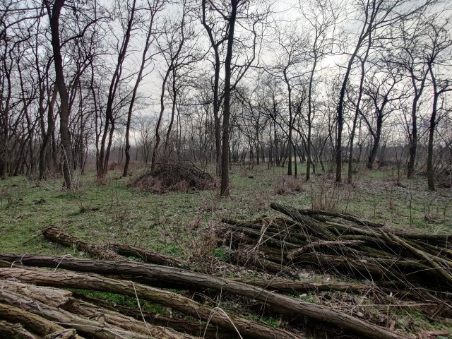 Eladó telek, Gönyűn 16.99 M Ft / költözzbe.hu