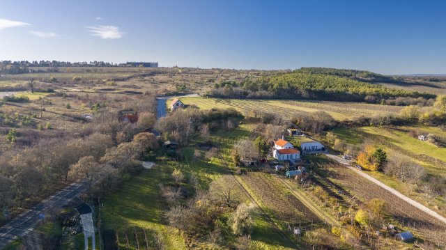 Eladó telek, Etyeken 29.9 M Ft / költözzbe.hu