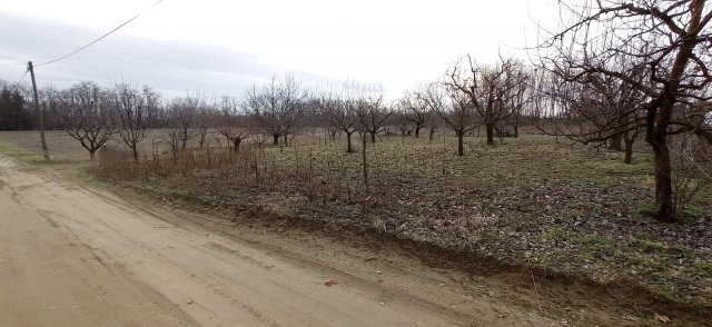 Eladó telek, Nyíregyházán 14.5 M Ft / költözzbe.hu