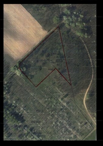 Eladó családi ház, Lajosmizsén 6.9 M Ft, 1 szobás