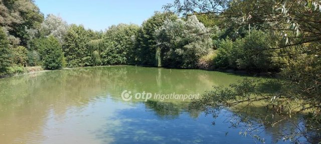 Eladó mezogazdasagi ingatlan, Garén 111.1 M Ft