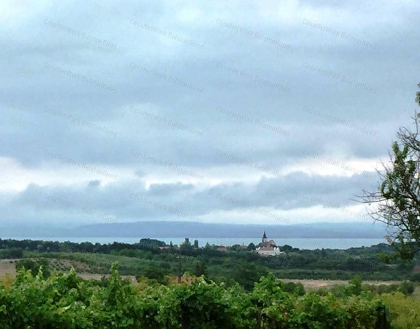 Eladó mezogazdasagi ingatlan, Monoszlón 185 M Ft