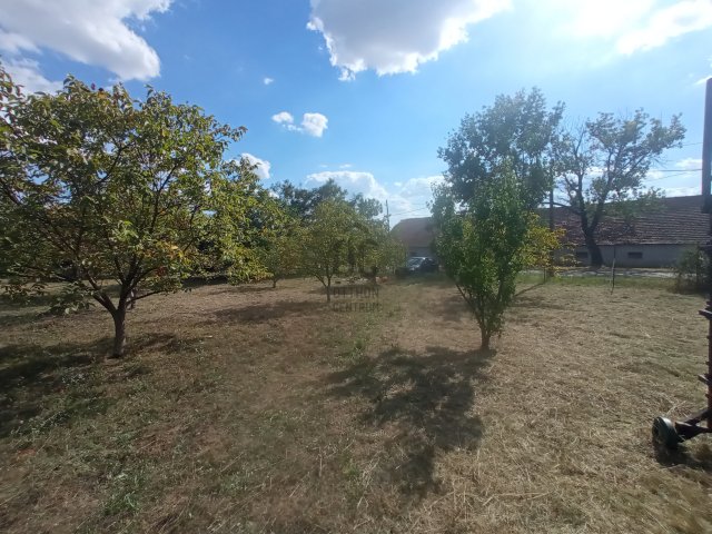 Eladó telek, Detken 4.9 M Ft / költözzbe.hu