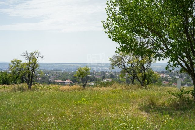 Eladó telek, Cserszegtomajon, Gesztenyés utcában 60 M Ft