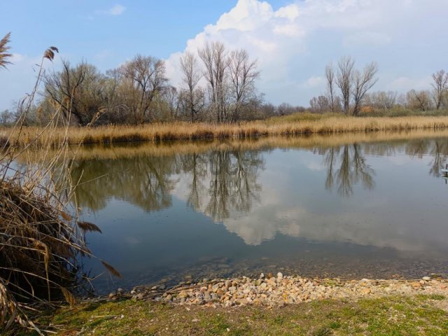 Eladó családi ház, Dunaharasztin 119.9 M Ft, 4 szobás
