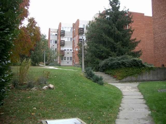 Kiadó téglalakás, albérlet, Budapesten, I. kerületben
