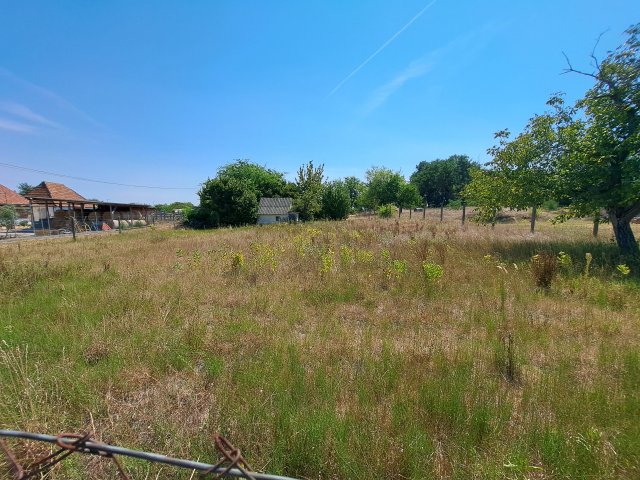 Eladó mezogazdasagi ingatlan, Baján 7.99 M Ft
