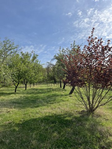 Eladó családi ház, Pusztaszemesen 59.9 M Ft, 4 szobás