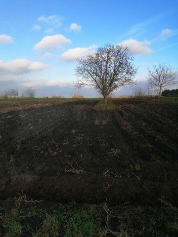 Eladó telek, Jászkarajenőn 1.5 M Ft / költözzbe.hu