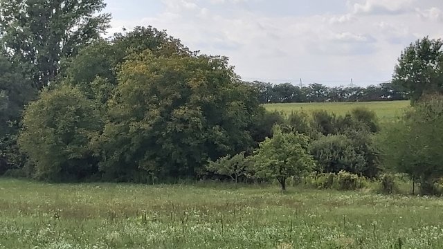 Eladó telek, Vértesszőlősön, Baromállási dűlőn 4.5 M Ft