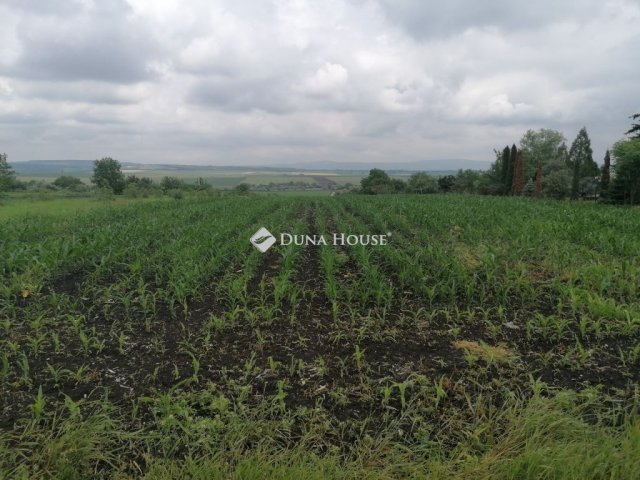 Eladó telek, Bicskén 8.9 M Ft / költözzbe.hu
