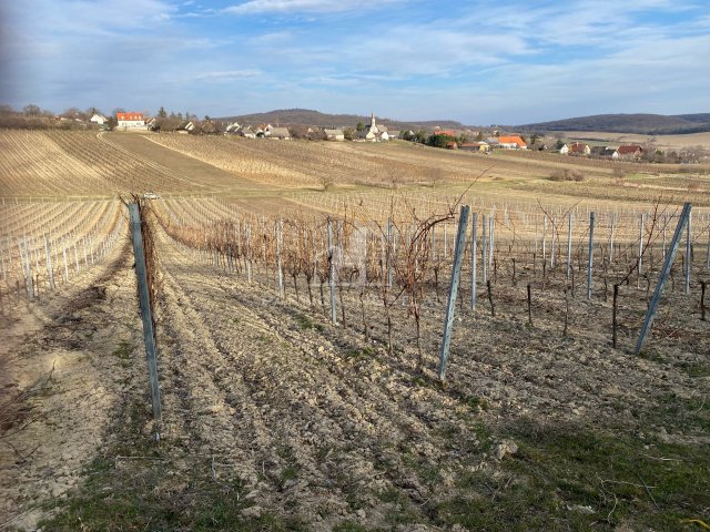 Eladó telek, Szentjakabfán 7.9 M Ft / költözzbe.hu