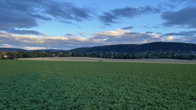 Eladó telek, Bajon 9.9 M Ft / költözzbe.hu