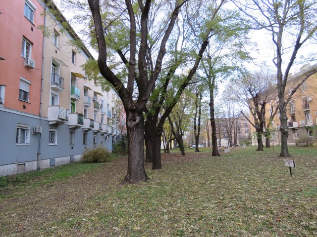 Eladó téglalakás, Budapesten, XIV. kerületben 69 M Ft, 2 szobás