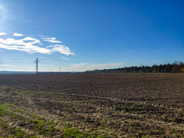 Eladó mezogazdasagi ingatlan, Berhidán 16 M Ft