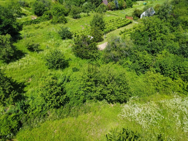 Eladó telek, Dunabogdányban 9.8 M Ft / költözzbe.hu