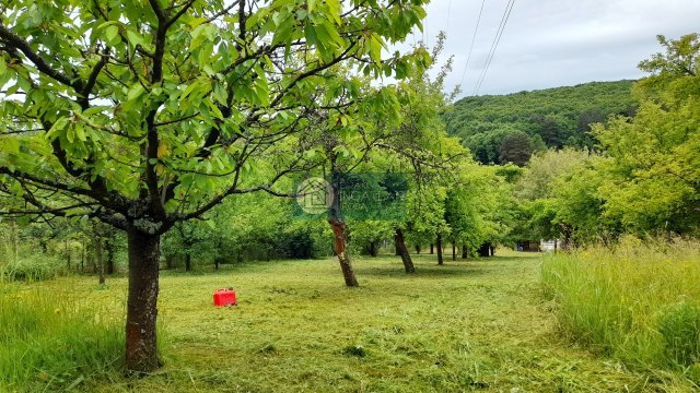 Eladó telek, Sajóivánkán 3 M Ft / költözzbe.hu