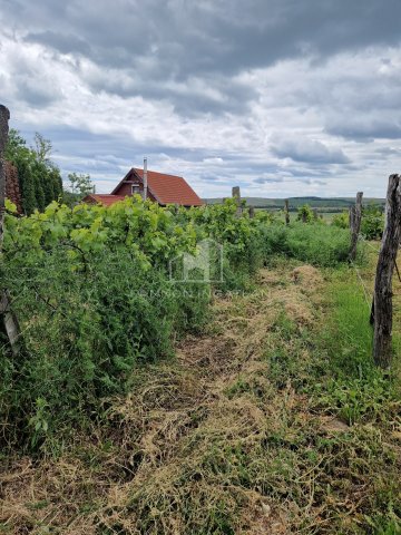 Eladó telek, Iszkaszentgyörgyön 4.9 M Ft / költözzbe.hu