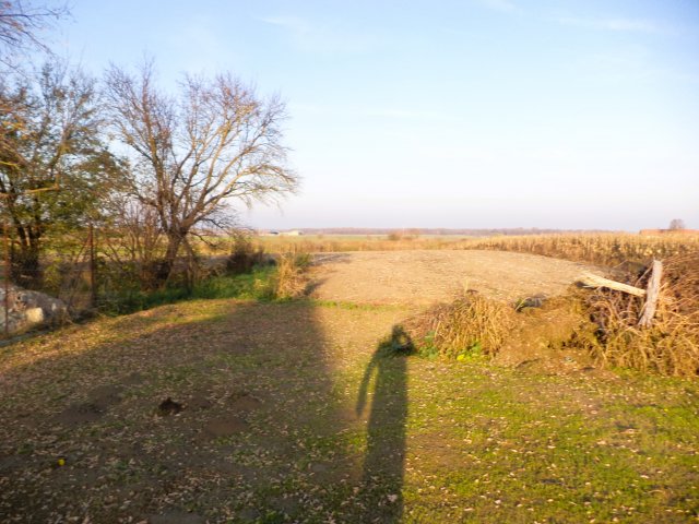 Eladó családi ház, Kálozon 18.9 M Ft, 2+1 szobás