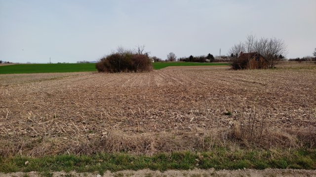 Eladó mezogazdasagi ingatlan, Balatonkeresztúron 7.1 M Ft