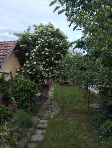Eladó családi ház, Csanádpalotán, Petőfi utcában 21 M Ft