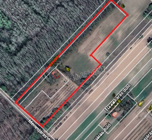 Eladó mezogazdasagi ingatlan, Zsombón 12.5 M Ft