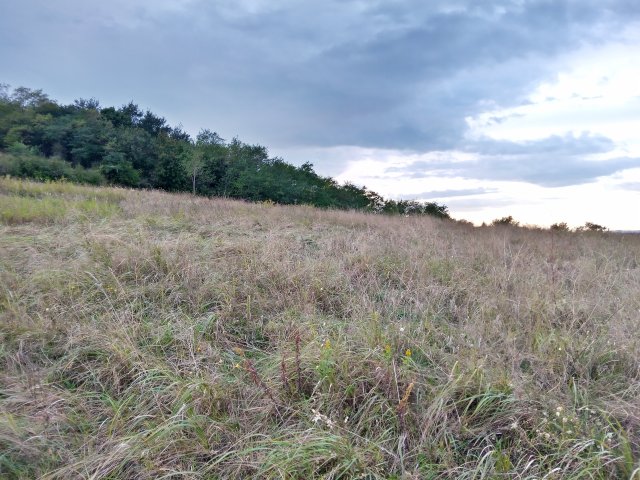 Eladó telek, Ságváron 10 M Ft / költözzbe.hu