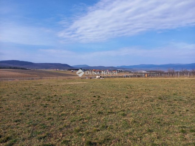 Eladó telek, Berkenyén 10 M Ft / költözzbe.hu