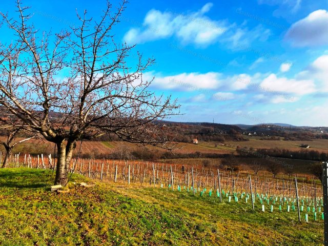 Eladó telek, Balatonszőlősön 129 M Ft, 1 szobás