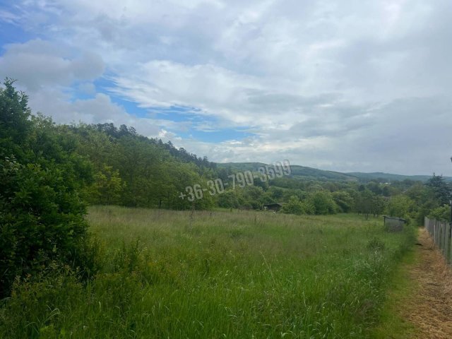 Eladó telek, Nógrádsápon 7.9 M Ft / költözzbe.hu